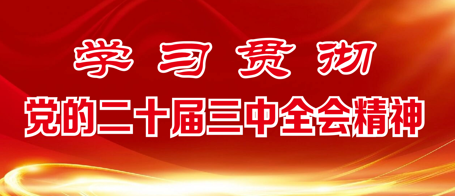 學(xué)習(xí)貫徹黨的二十屆三中全會(huì)精神